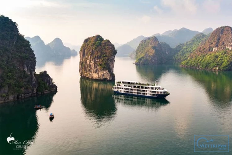 Wonder Bay Luxury Cruise Halong Bay 1 Day Trip image 4
