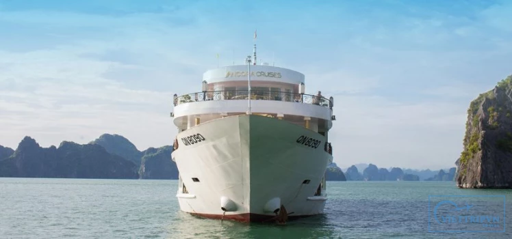 Ancora Cruise image 1