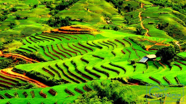 Sapa Trekking 2 Days - Home Stay image 4
