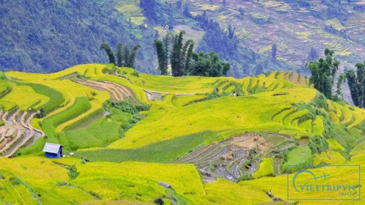 Sapa Trekking Bac Ha Market 3 Days image 1