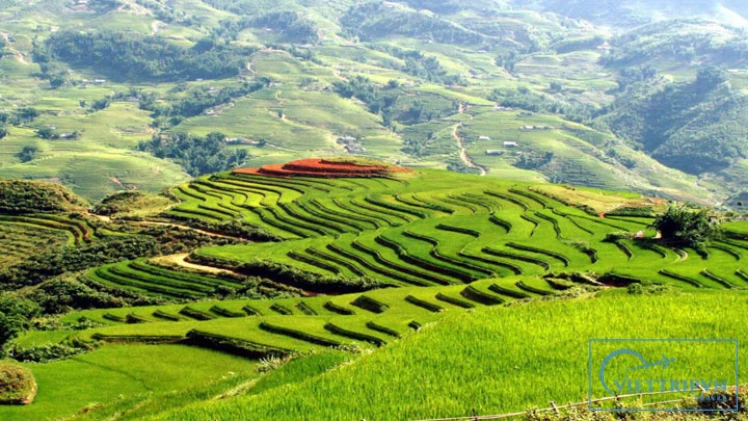 Sapa Trekking 3 Days - Home Stay & Hotel image 1