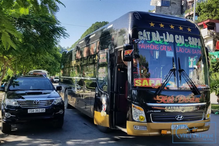 Sapa to Cat Ba bus