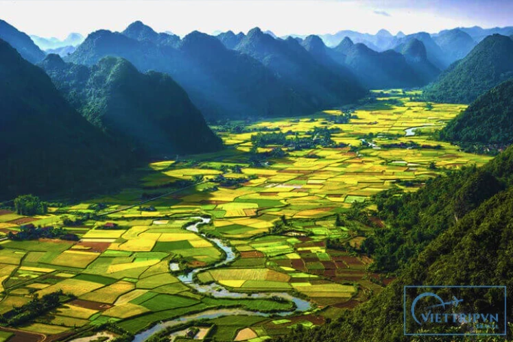 Hoa Lu – Tam Coc 1 day tour image 1