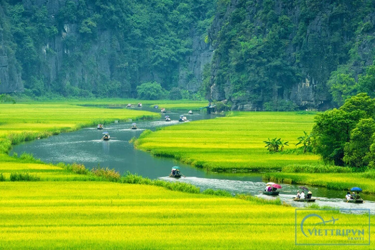 Hoa Lu – Tam Coc 1 day tour image 2