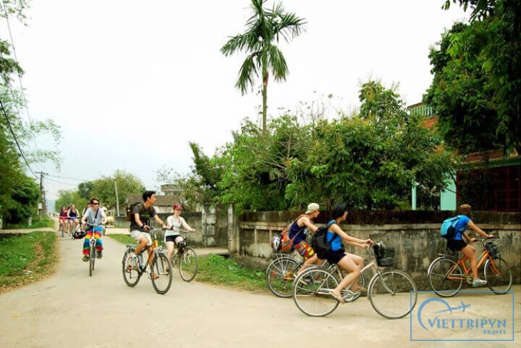 Hoa Lu – Tam Coc 1 day tour image 4